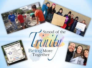 Synod Brochure